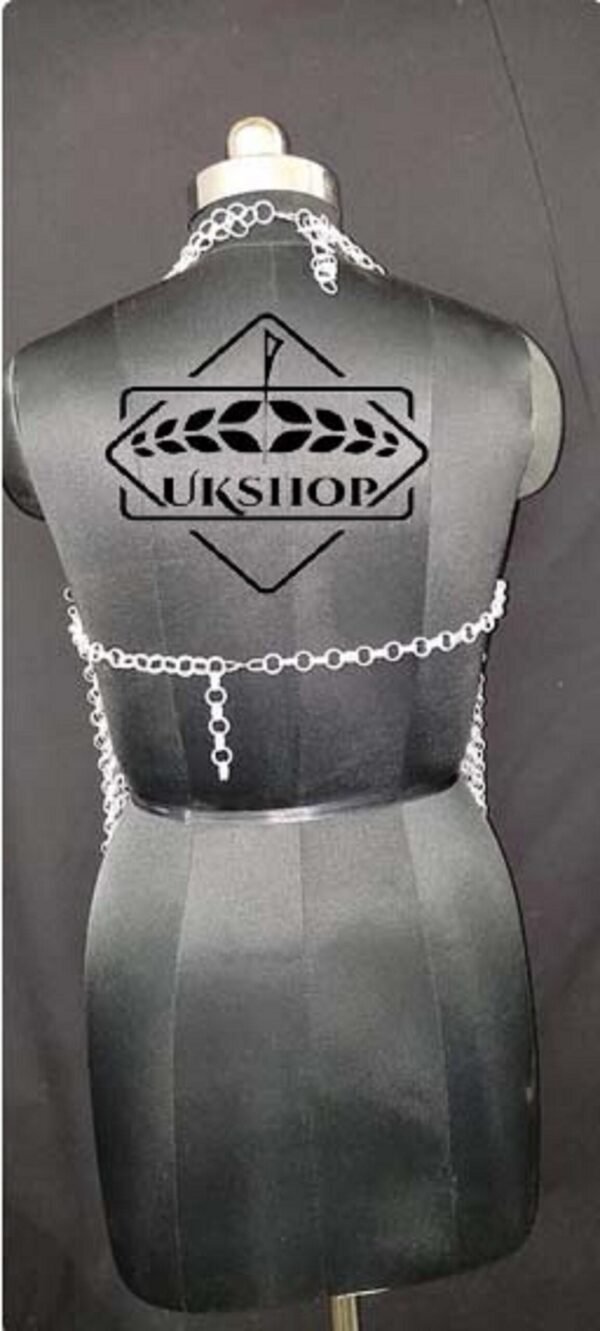 il fullxfull.4191644084 6jad scaled Sexy Female Butted Chainmail Bra Aluminium, Chainmail top, mother day gift